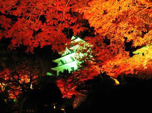 Asano Ryokan Gujo Exteriör bild